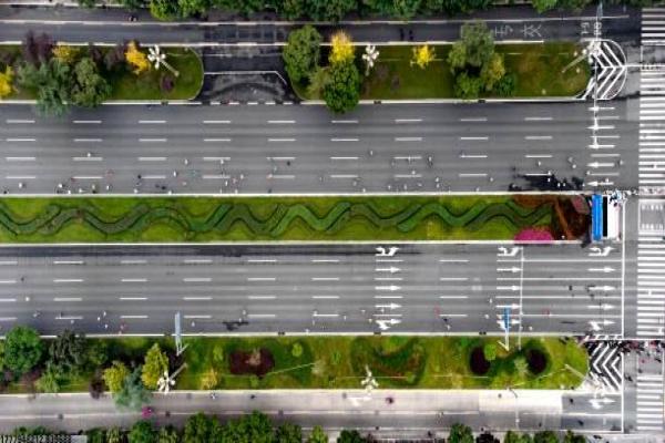 龙舟赛的文化意义：为何成为国家级体育项目的背后故事
